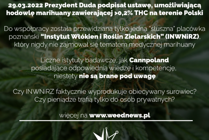 27# Nowa ustawa dot. hodowli medycznej marihuany w Polsce